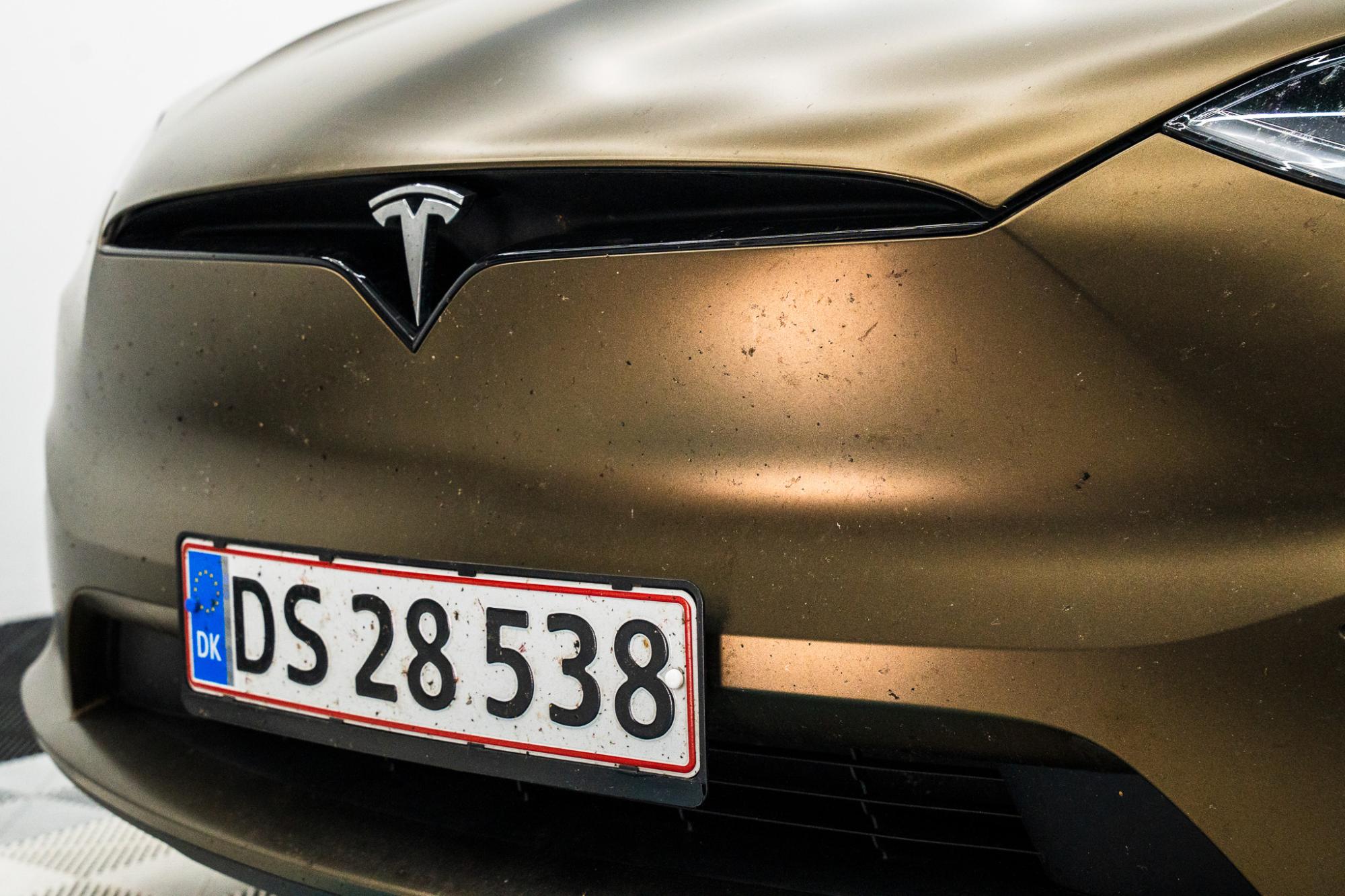 Insekter på folie og PPF